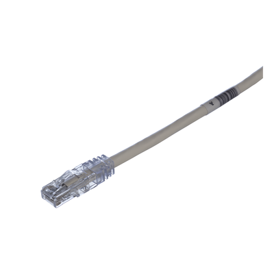 Cable de Parcheo / UTP Cat6 / 24 AWG / CM / 0.61 m (2 ft) / Blanco Mate